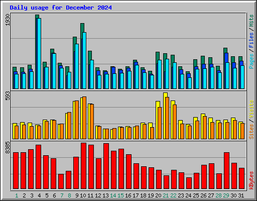 Daily usage for December 2024