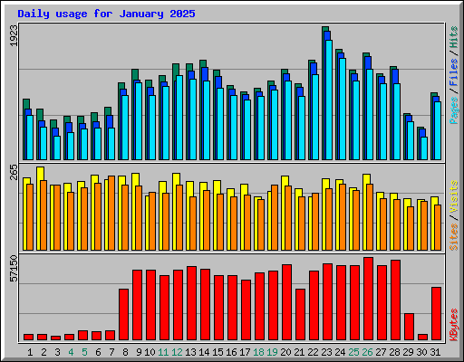 Daily usage for January 2025