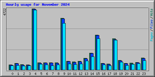 Hourly usage for November 2024