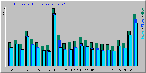 Hourly usage for December 2024
