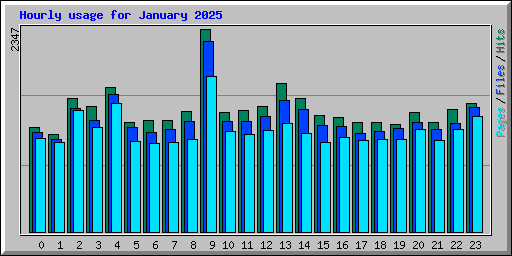 Hourly usage for January 2025