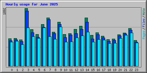 Hourly usage for June 2025