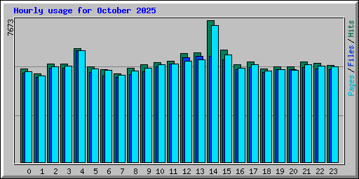 Hourly usage for October 2025