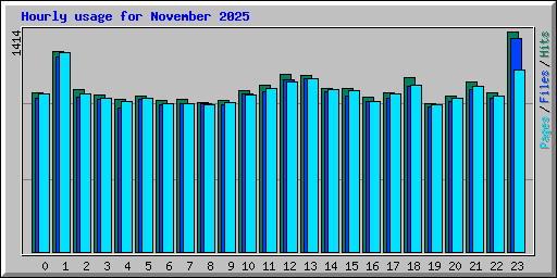 Hourly usage for November 2025