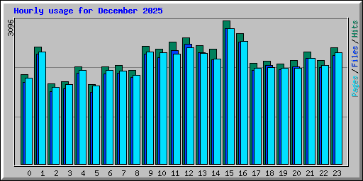 Hourly usage for December 2025