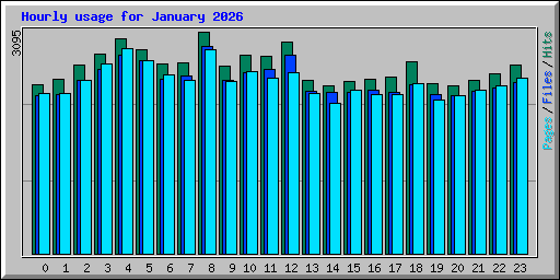 Hourly usage for January 2026
